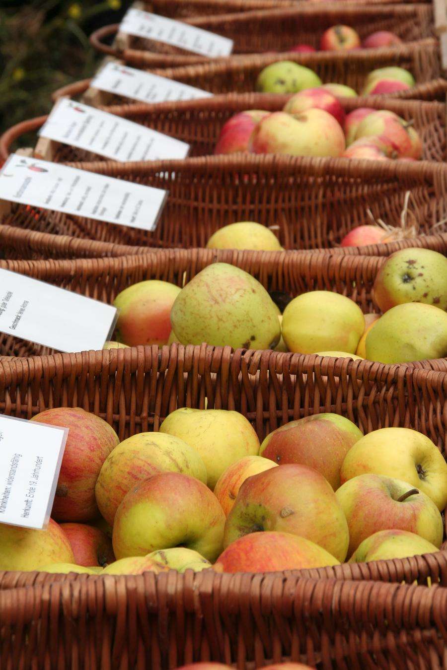 Obst von heimischen Wiesen kaufen Die Streuobstbörse des Landkreises
